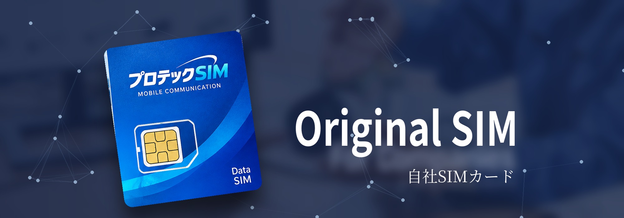 プロテックSIMについて